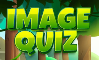 Image Image Quiz